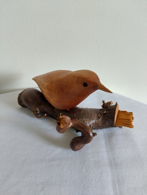 Whittled Nuthatch